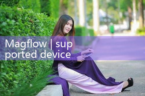 magflow|rotameter flow meter