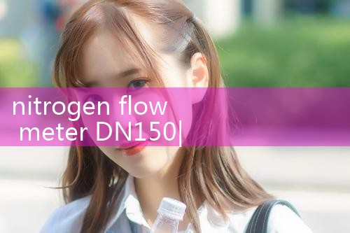 nitrogen flow meter DN150|flow meter distributor