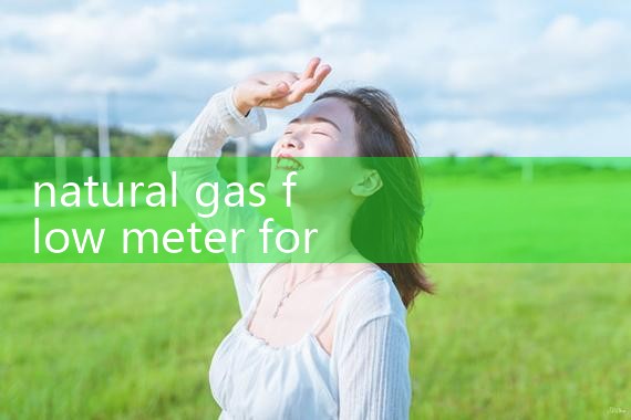 natural gas flow meter for CNG station|balo meter