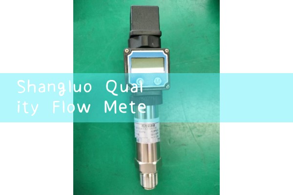 Shangluo Quality Flow Meter Manufacturer