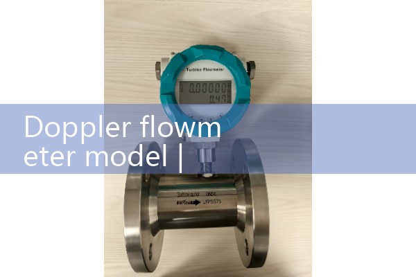 Doppler flowmeter model