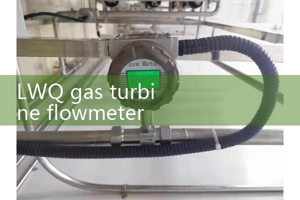 LWQ gas turbine flowmeter