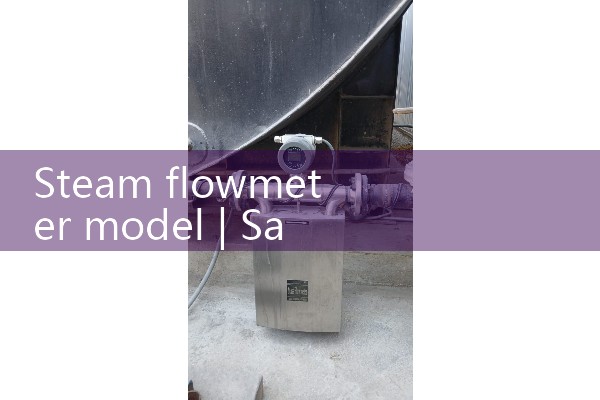 Steam flowmeter model