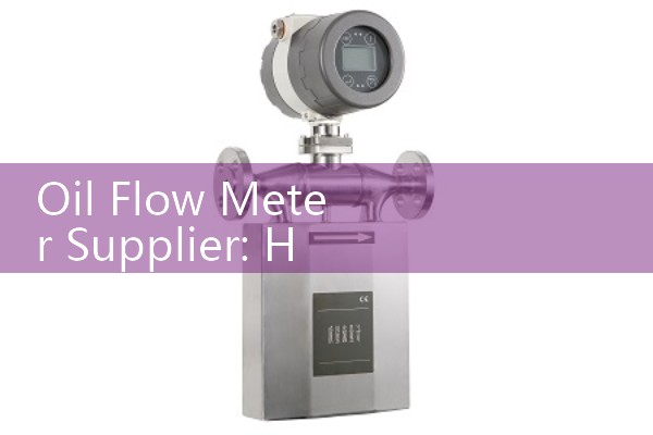 Oil Flow Meter Supplier: How to Vet Local Distributors for Technical Support