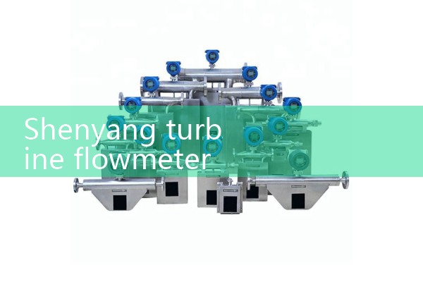 Shenyang turbine flowmeter