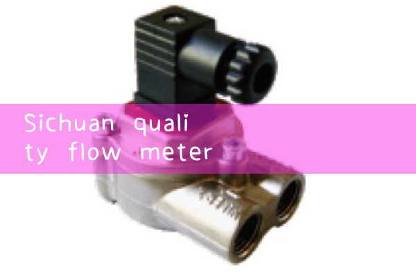 Sichuan quality flowmeter manufacturer in stock