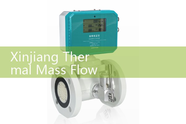 Xinjiang Thermal Mass Flow Meter Manufacturer