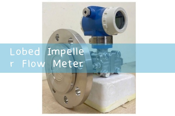 lobed impeller flow meter|vortex flow meter