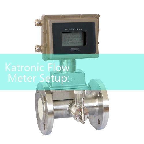 Katronic Flow Meter Setup: Non-Invasive Portable Clamp-On Transit-Time Transducers for Plant Energy Audits