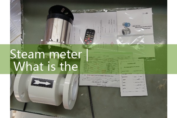 steam meter|vortex flow meter