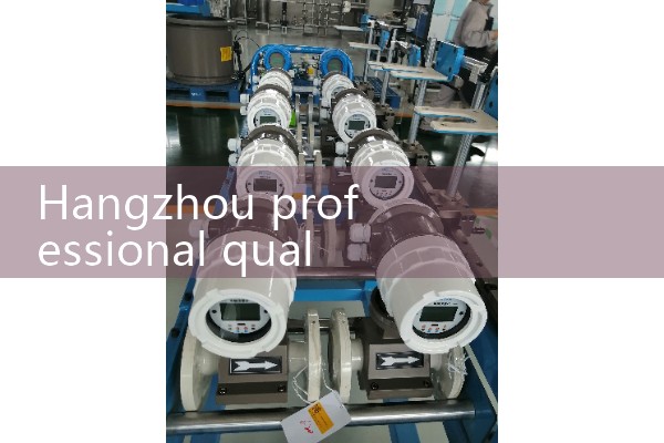 Hangzhou professional quality flowmeter manufacturer