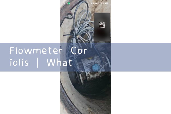 flowmeter coriolis|vortex flow meter