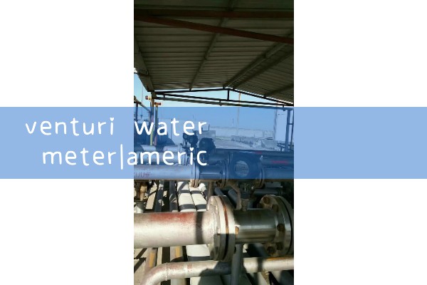venturi water meter|vortex flow meter
